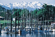 Click Here To Go Read More About
Fisherman�s Wharf