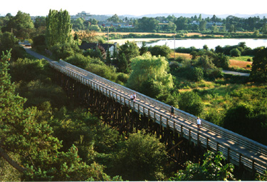 Click Here To Go Read More About
Galloping Goose Regional Trail