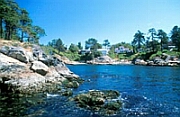 Click Here To Go Read More About
Saxe Pointe Park
