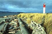 Click Here To Go Read More About
Sidney Spit Marine Park