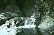 Click Here To Go Read More About
East Sooke Park