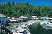 Click Here To Go Read More About
Telegraph Cove