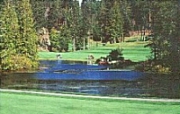 Click Here To Go Read More About
Vancouver Island Golf